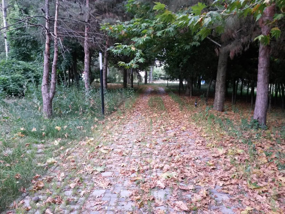 Sheki Olimpiya Hotel & Resort Eksteriør billede