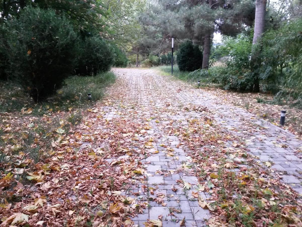 Sheki Olimpiya Hotel & Resort Eksteriør billede