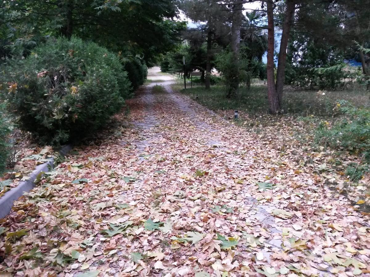 Sheki Olimpiya Hotel & Resort Eksteriør billede