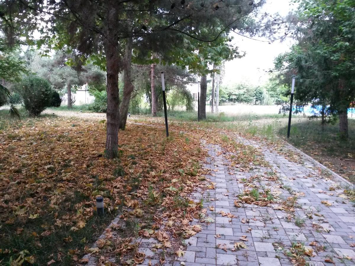 Sheki Olimpiya Hotel & Resort Eksteriør billede