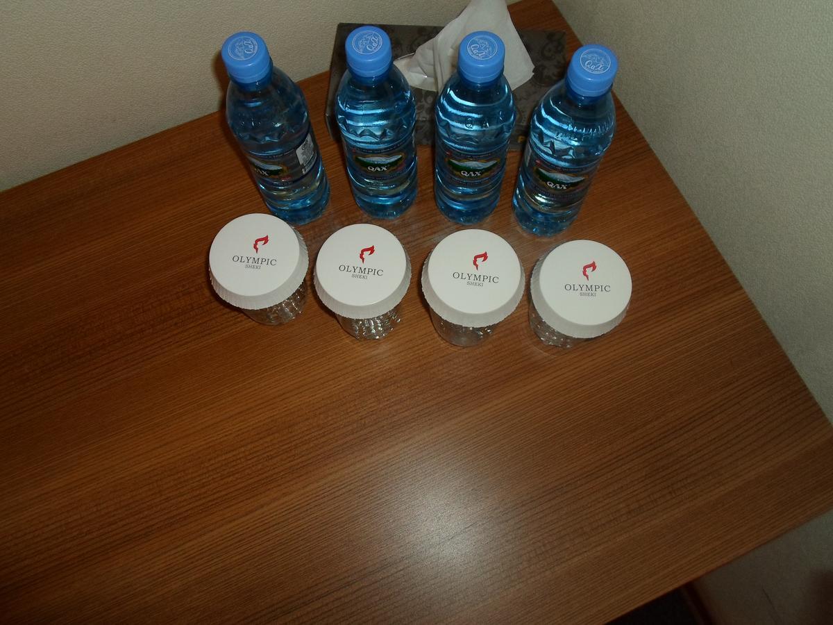 Sheki Olimpiya Hotel & Resort Eksteriør billede
