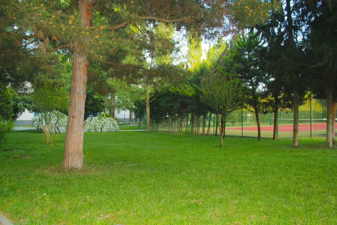Sheki Olimpiya Hotel & Resort Eksteriør billede