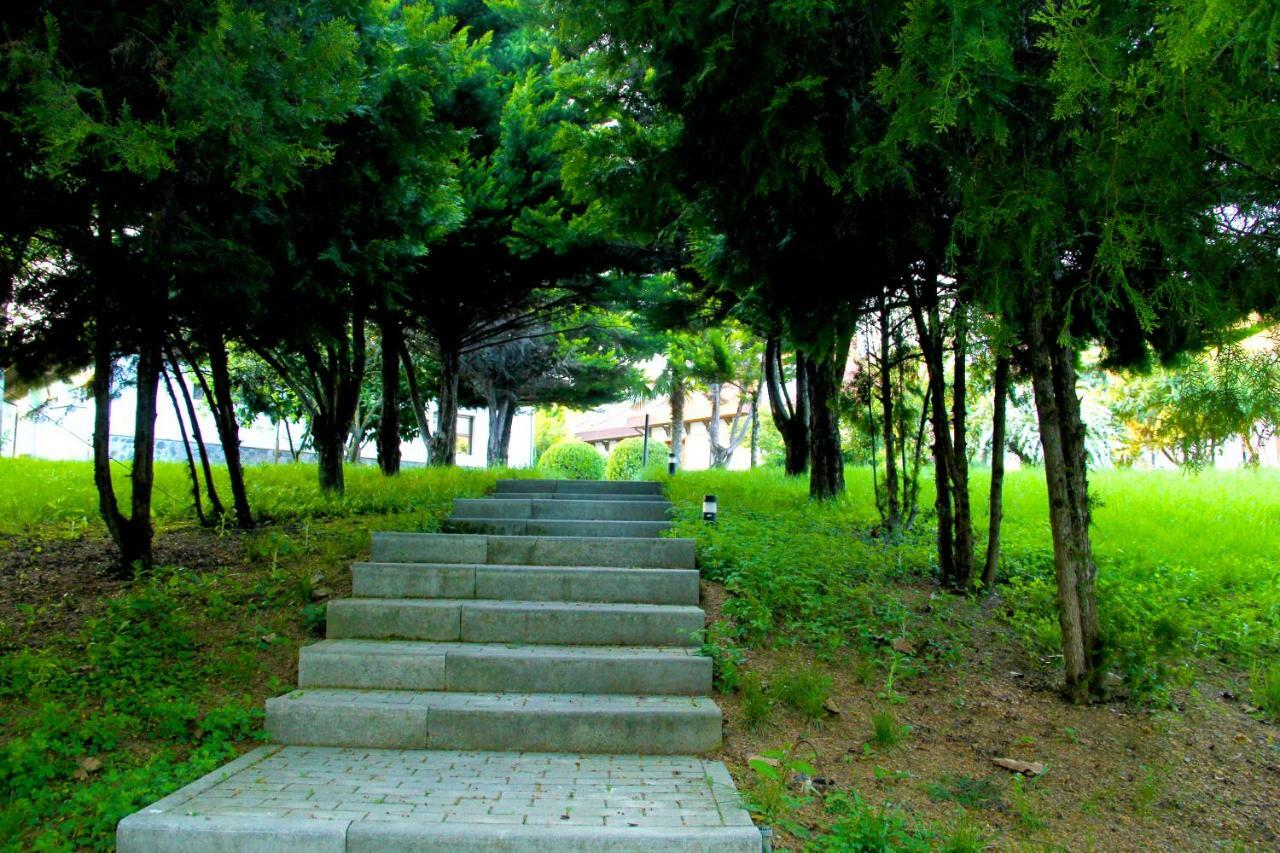 Sheki Olimpiya Hotel & Resort Eksteriør billede