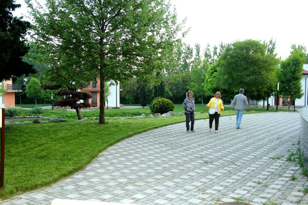 Sheki Olimpiya Hotel & Resort Eksteriør billede